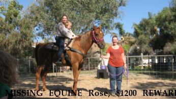 MISSING EQUINE Rose, $1200 REWARD Near Gilroy, CA, 95020